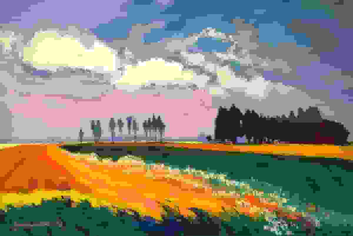 Gezocht: Groninger Ploeg