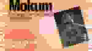 Een bijzondere middag in de Nieuwe Kerk Amsterdam: 750 jaar Joods Amsterdam