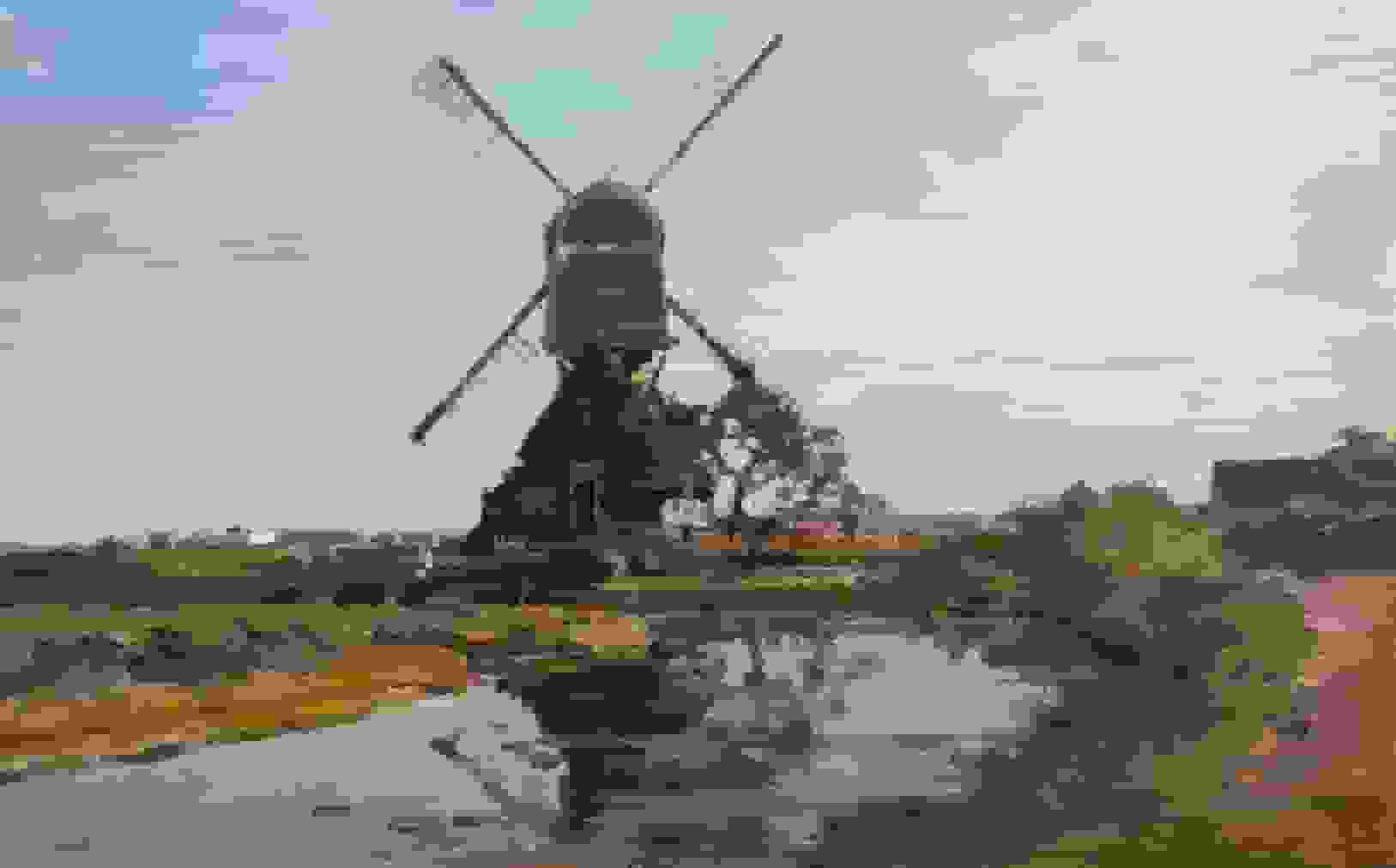 Wipmolen in de polder