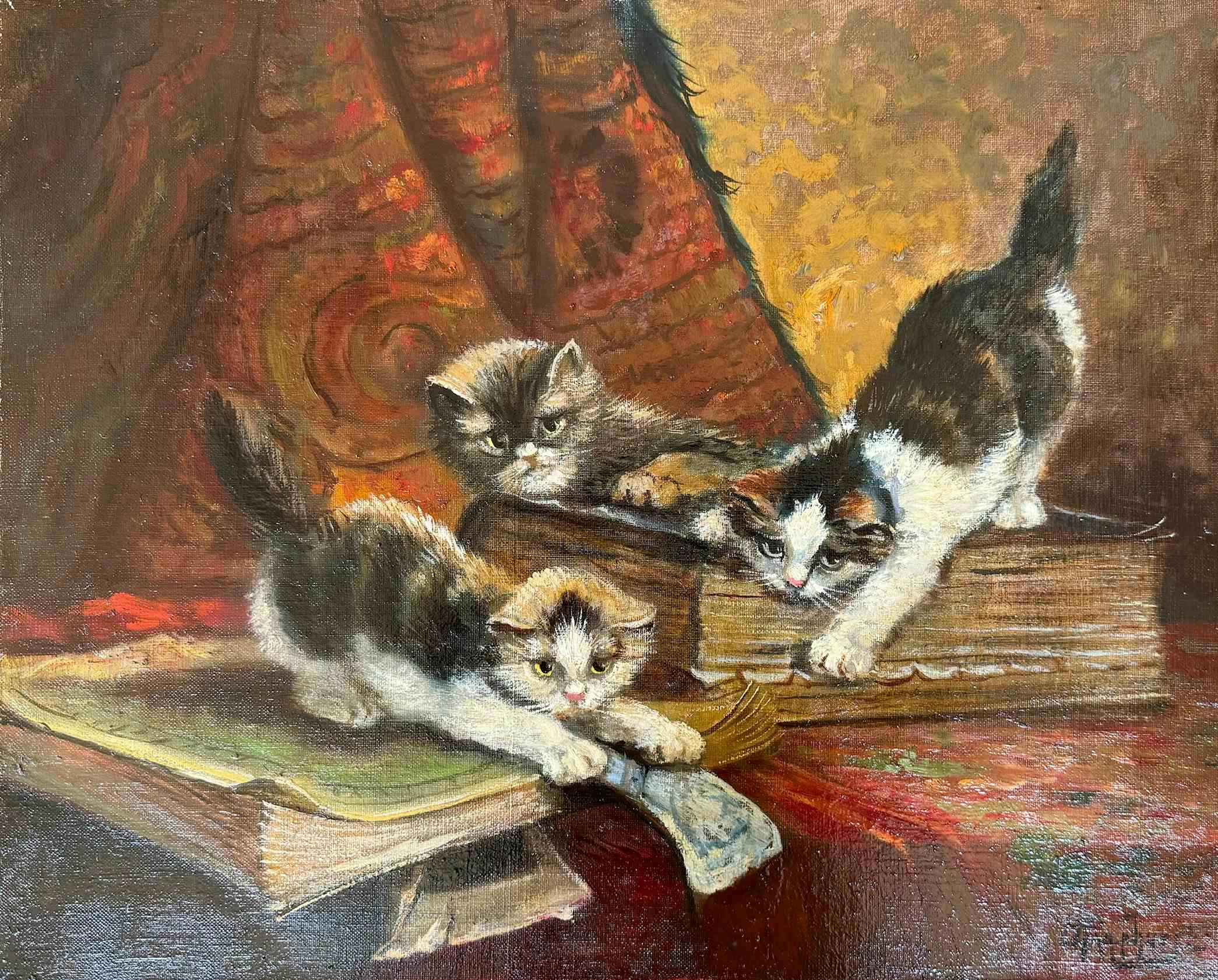 Drie spelende kittens