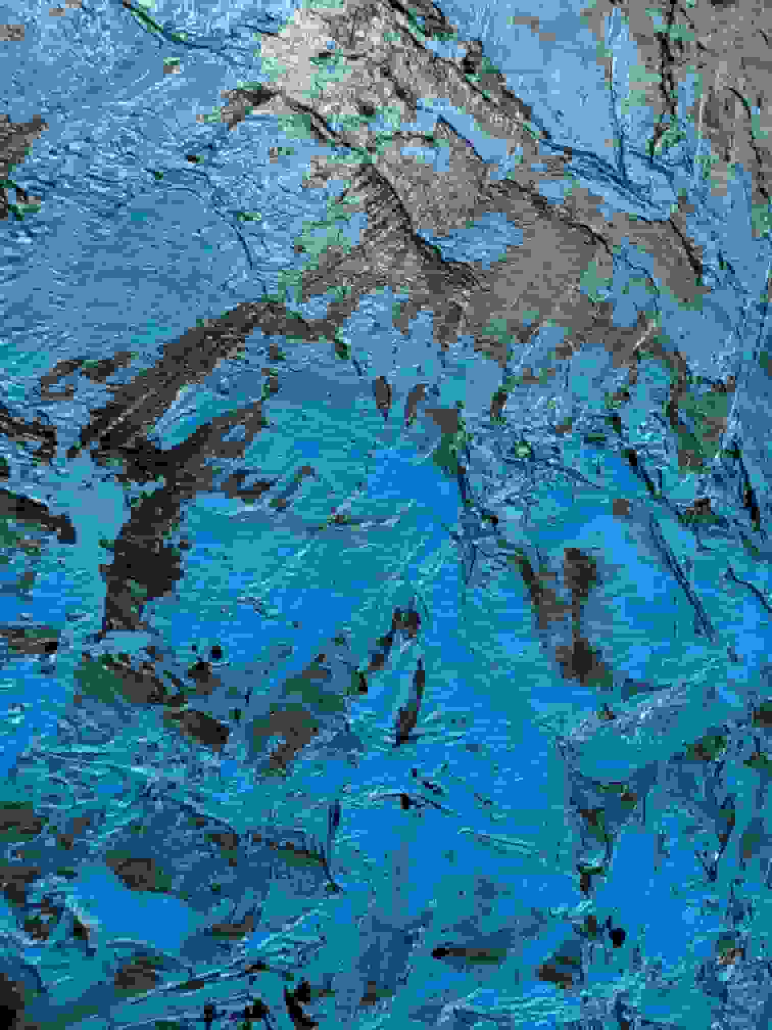 Armando - Landschaft (in het echt)