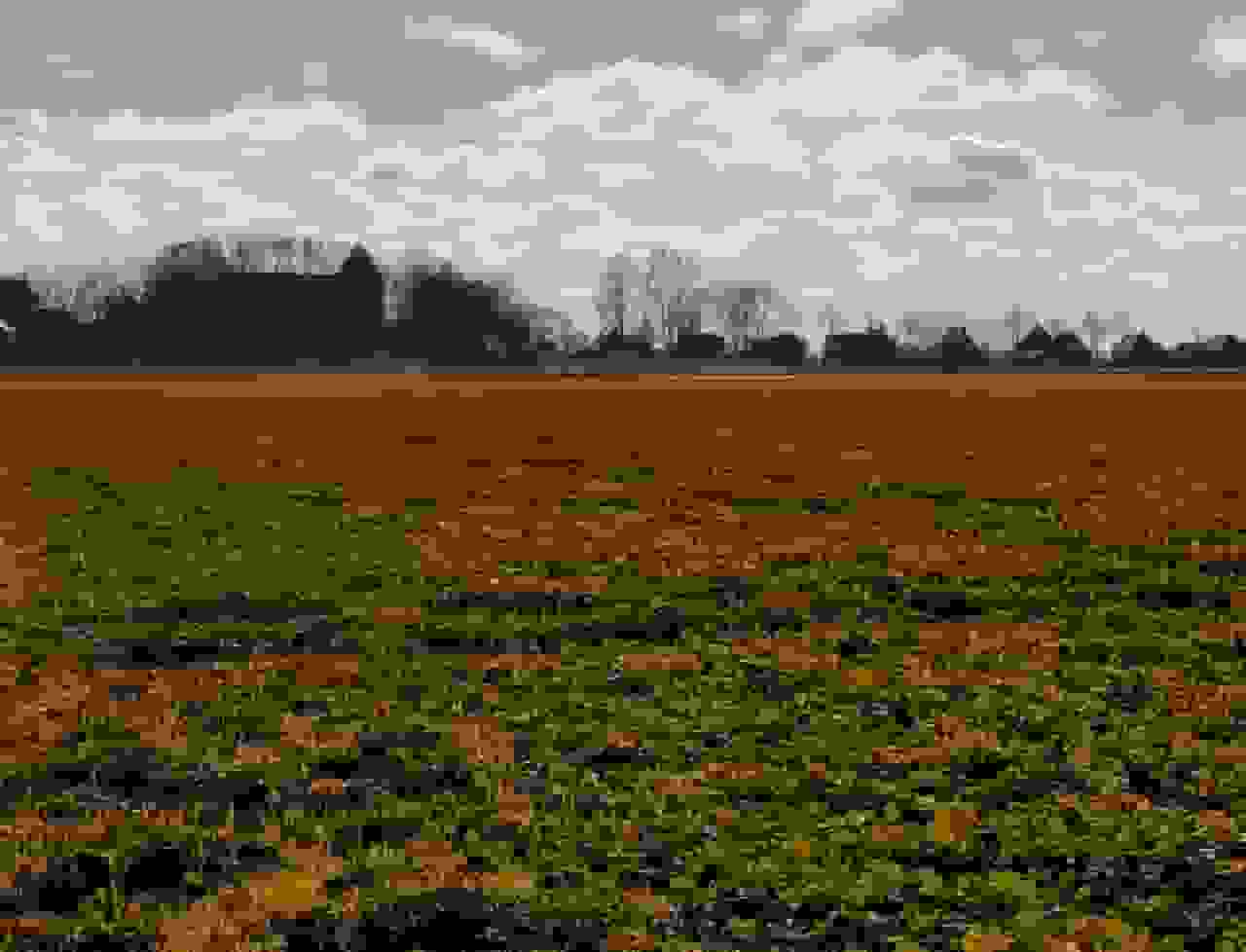 Jannes de Vries - Gezicht op Huizinge (in 1972) (in het echt)