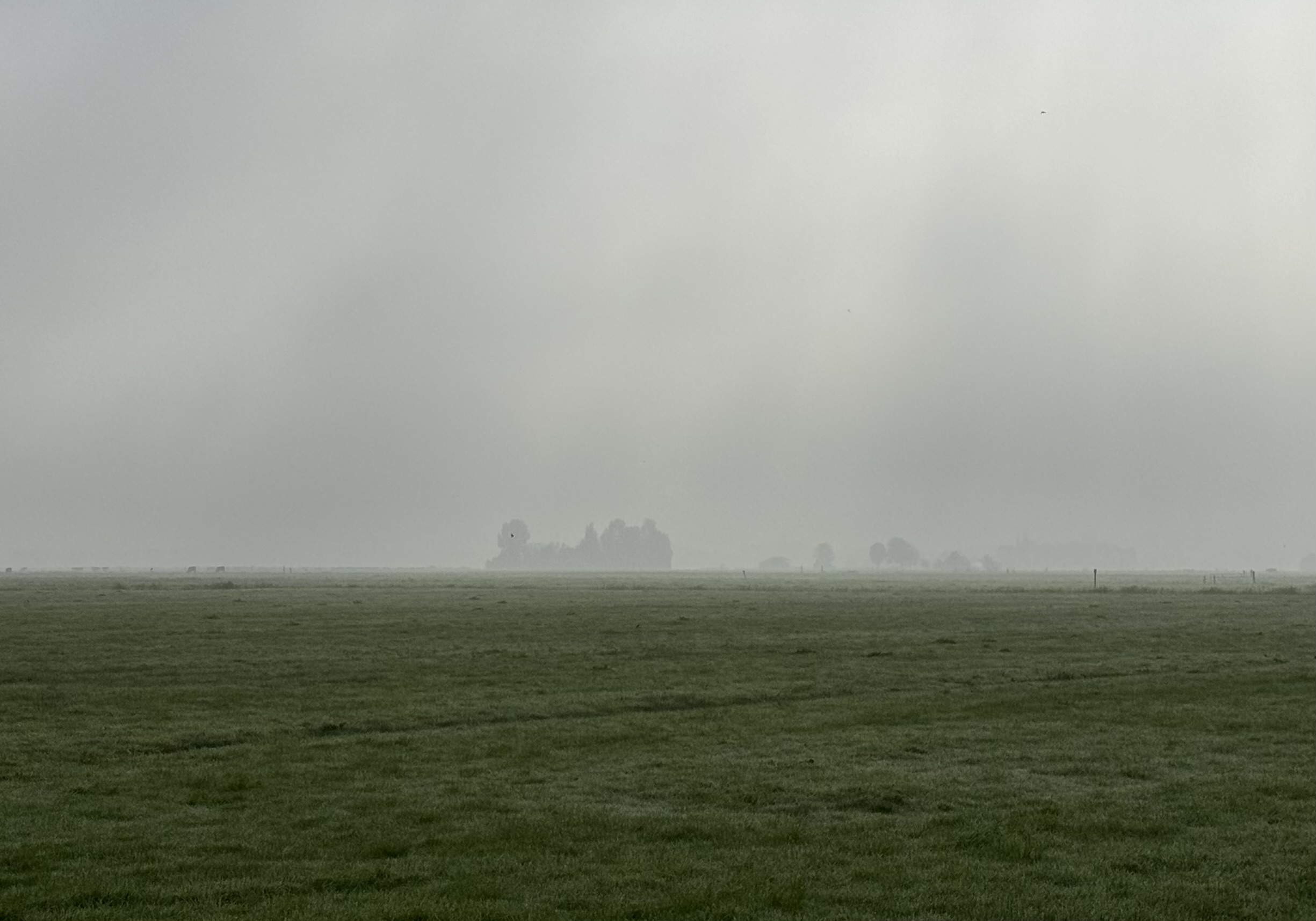 Fries landschap in de mist