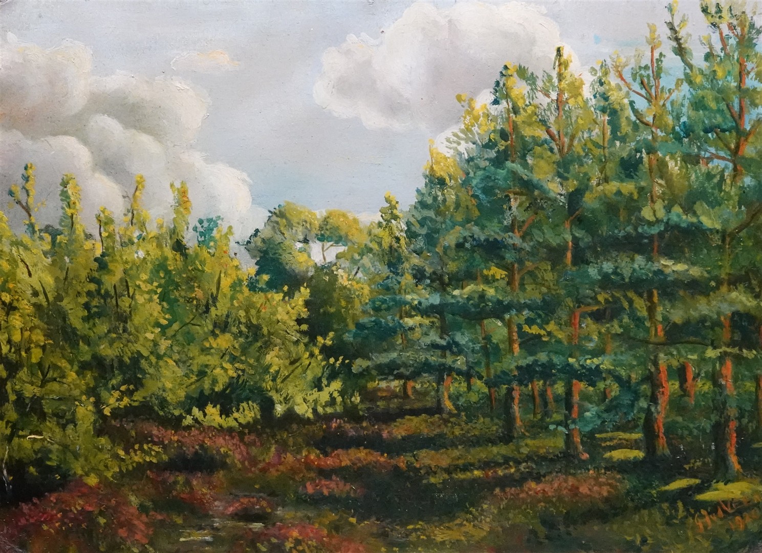 Bosgezicht_gerrit_van_der_veen
