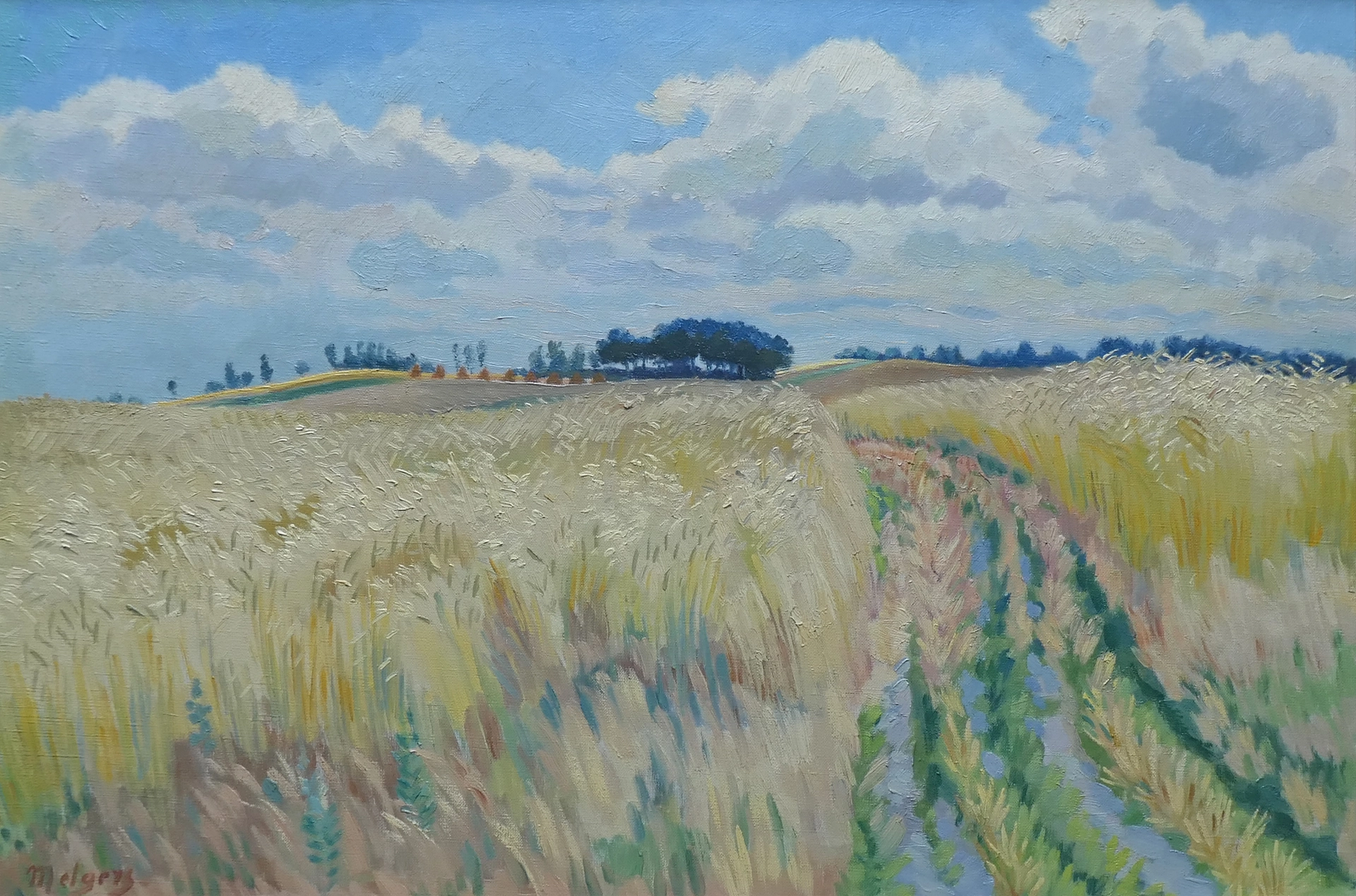 Korenvelden in Drenthe zonder lijst