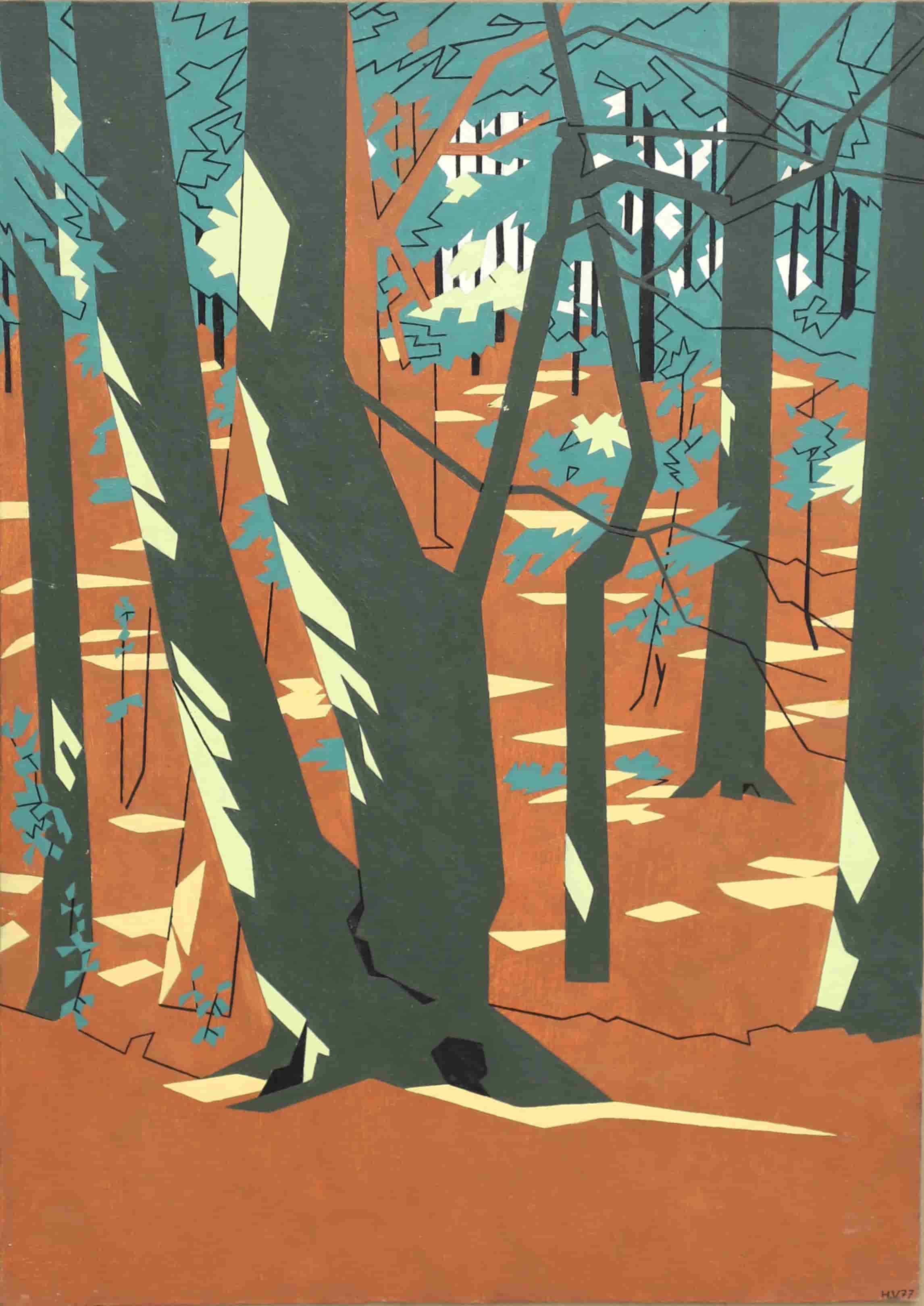 Zon in het bos