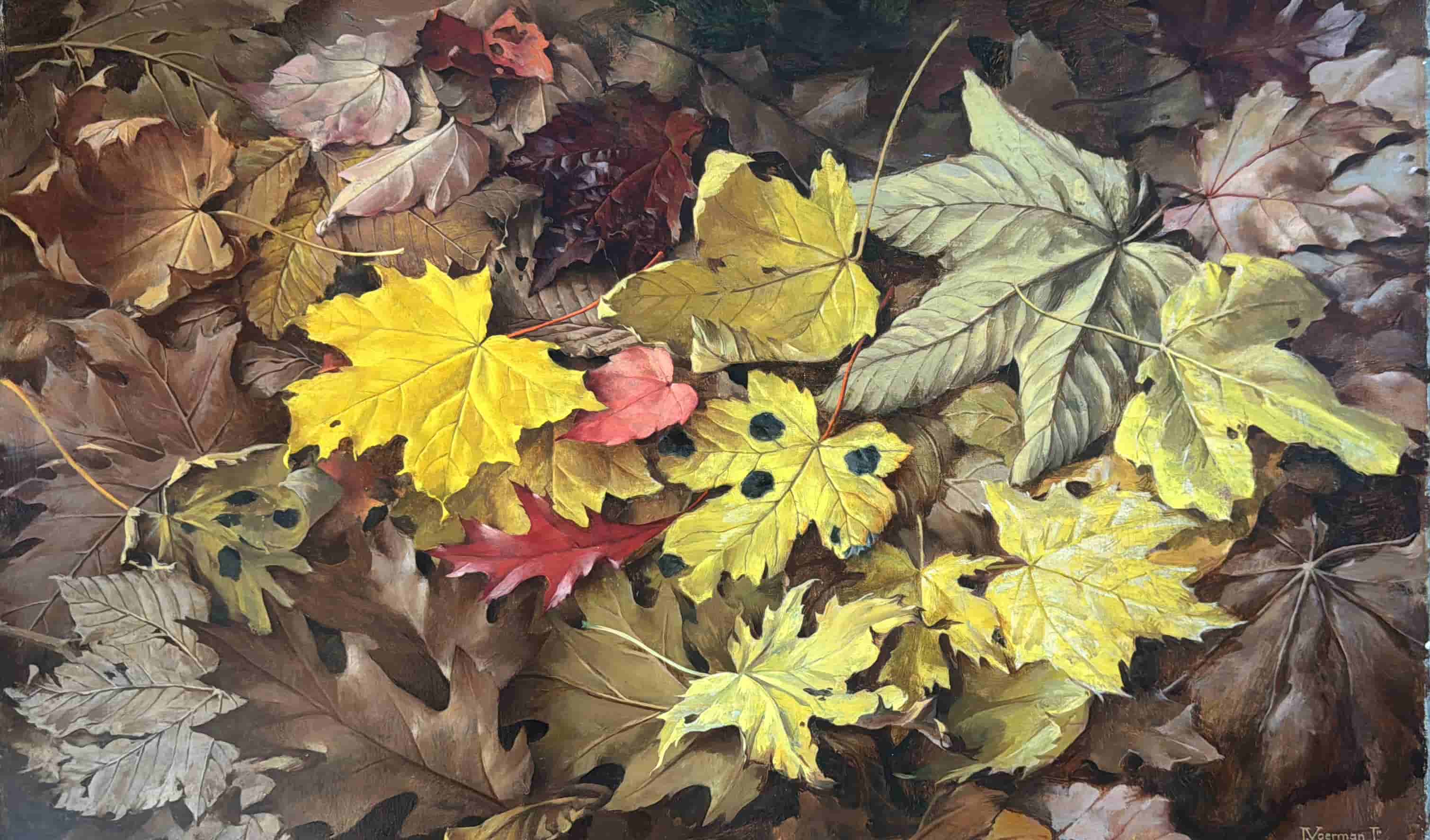 1950-1960: De Herfstbladeren, 50 x 70 cm