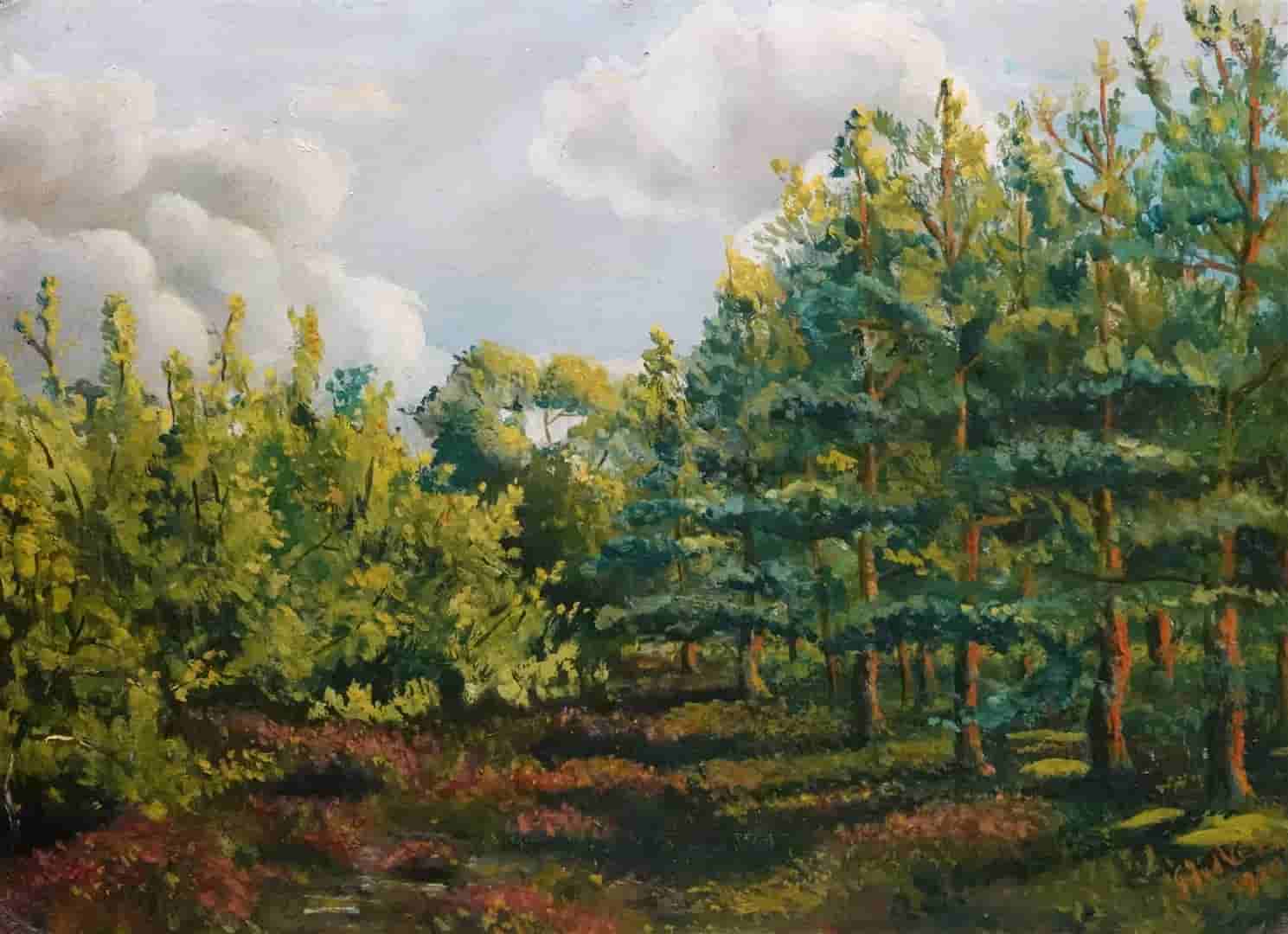 Bosgezicht_gerrit_van_der_veen