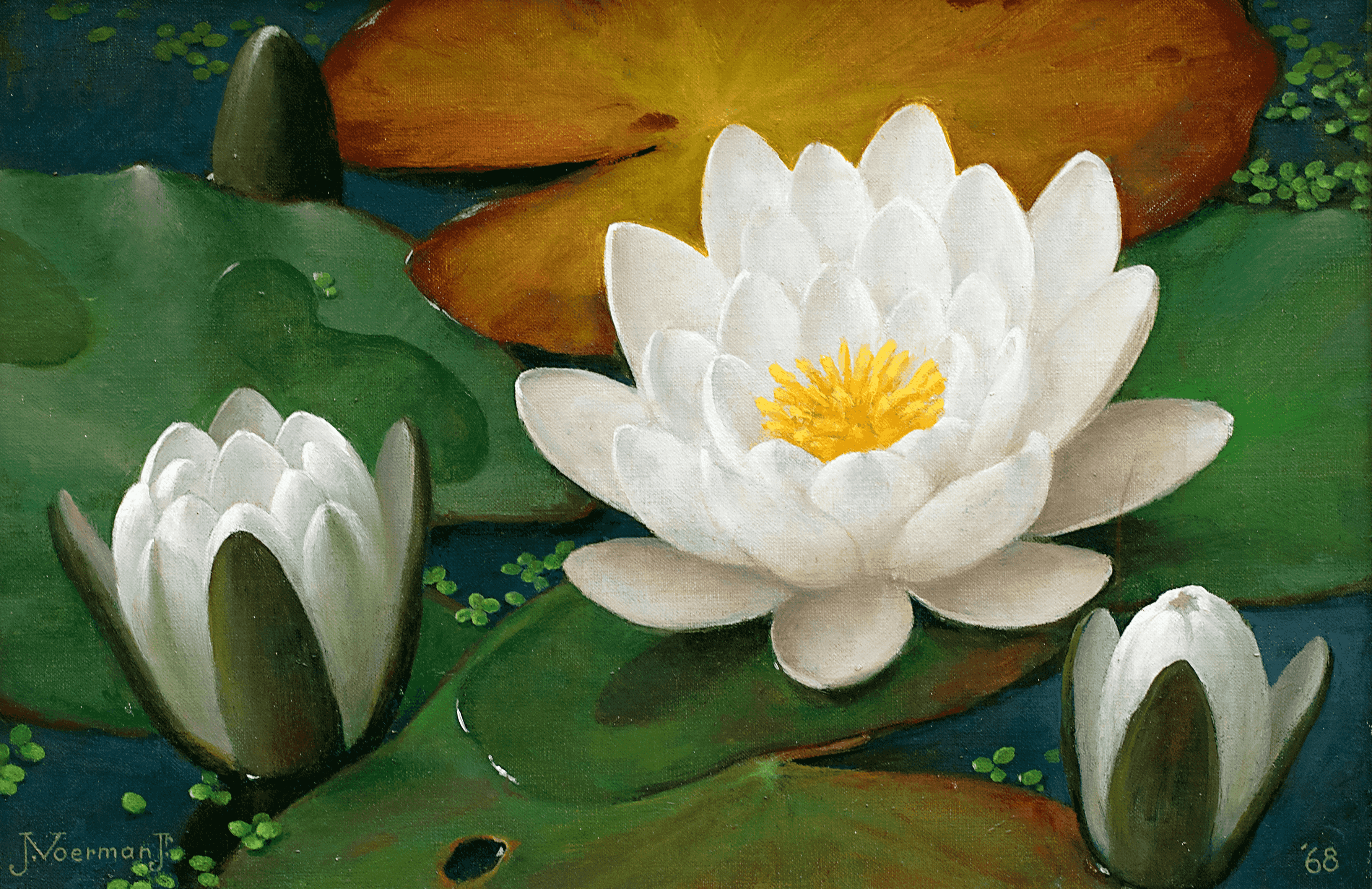 Jan Voerman jr - Waterlelies, 1968