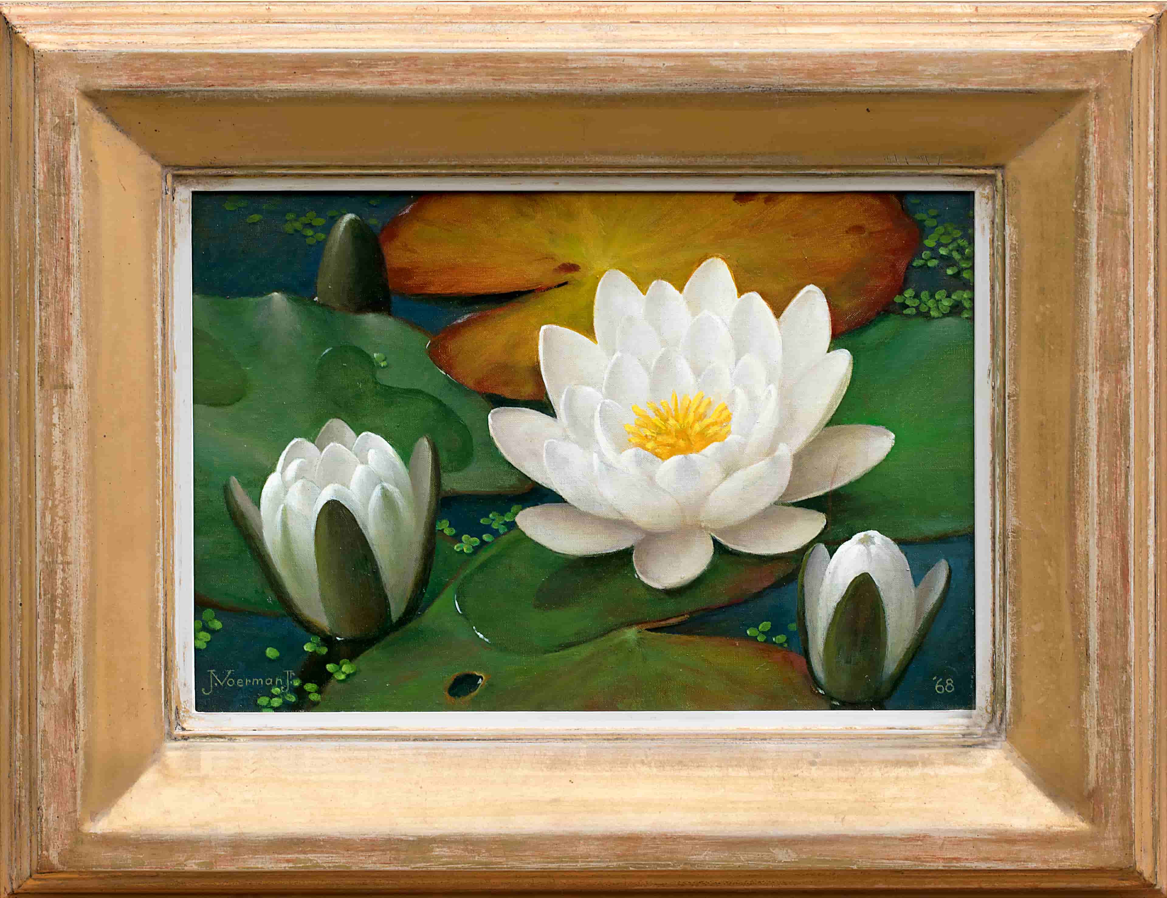Jan Voerman jr - Waterlelies, 1968 (met lijst)