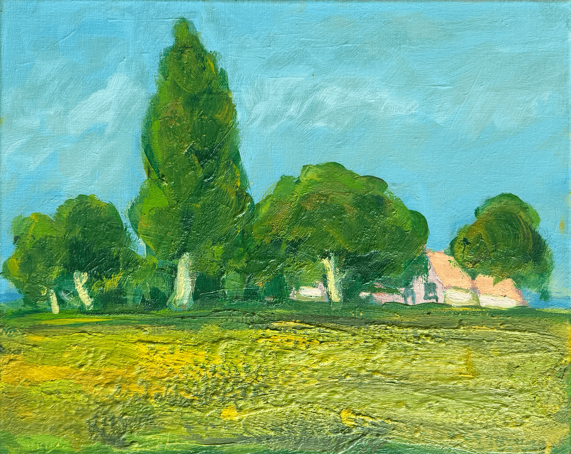 Wim van der Veer - Landschap met boerderij
