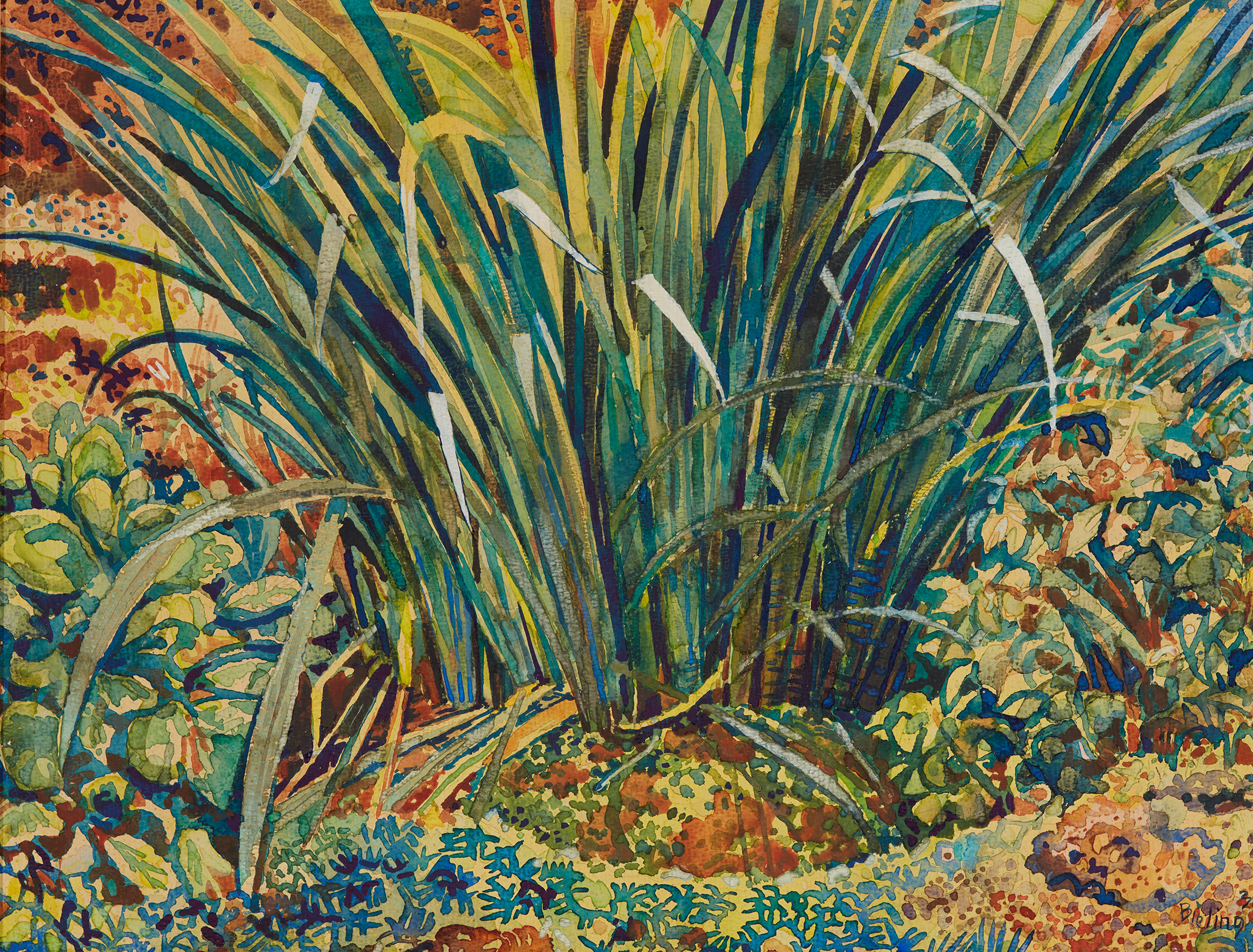 Herman Bieling - Tuin met agaven (zonder lijst)