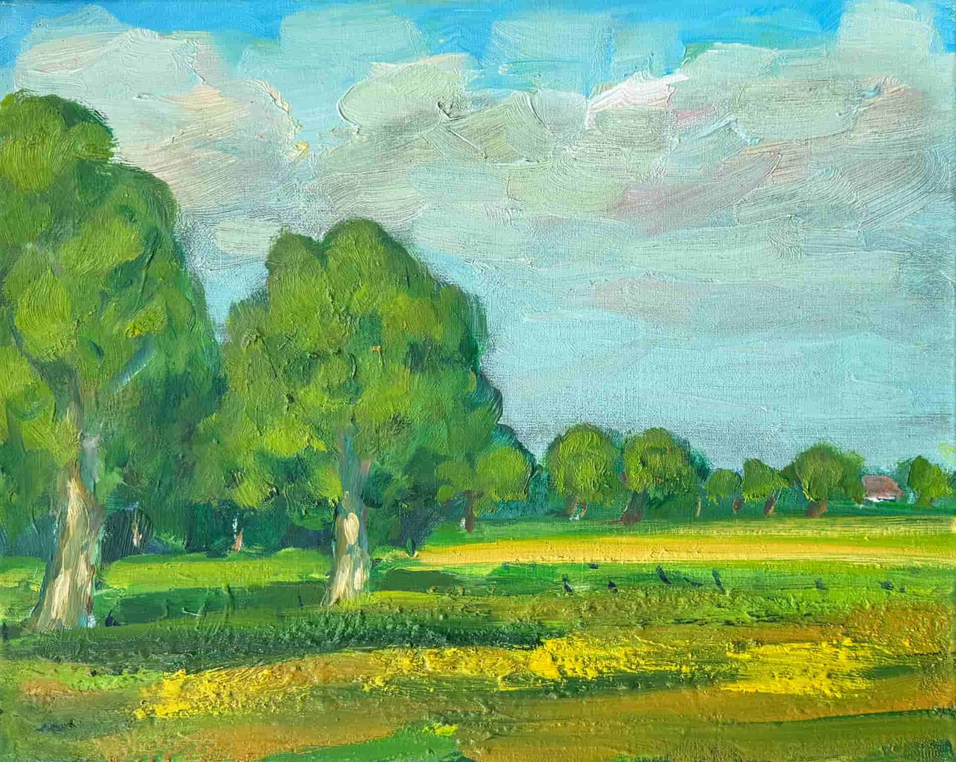 Wim van der Veer - Aldefeanen