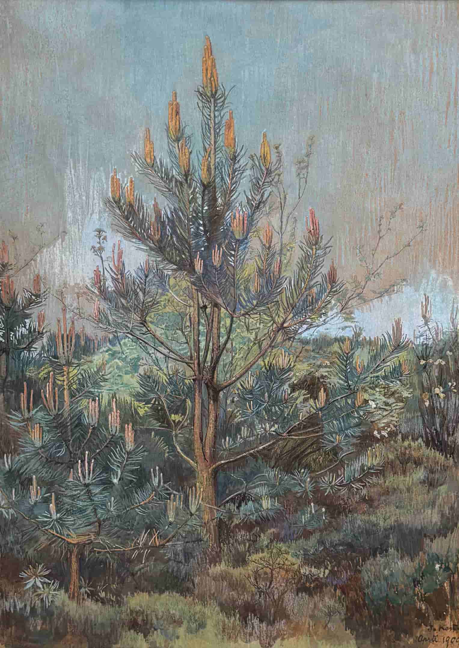 Jo Koster - Veluws bosgezicht (zonder lijst)