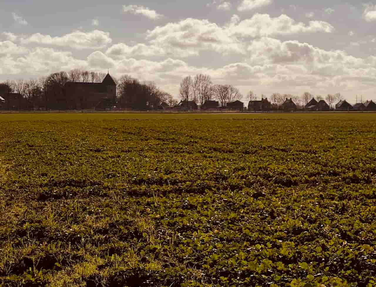 Jannes de Vries - Gezicht op Huizinge (in 1972) (in het echt)