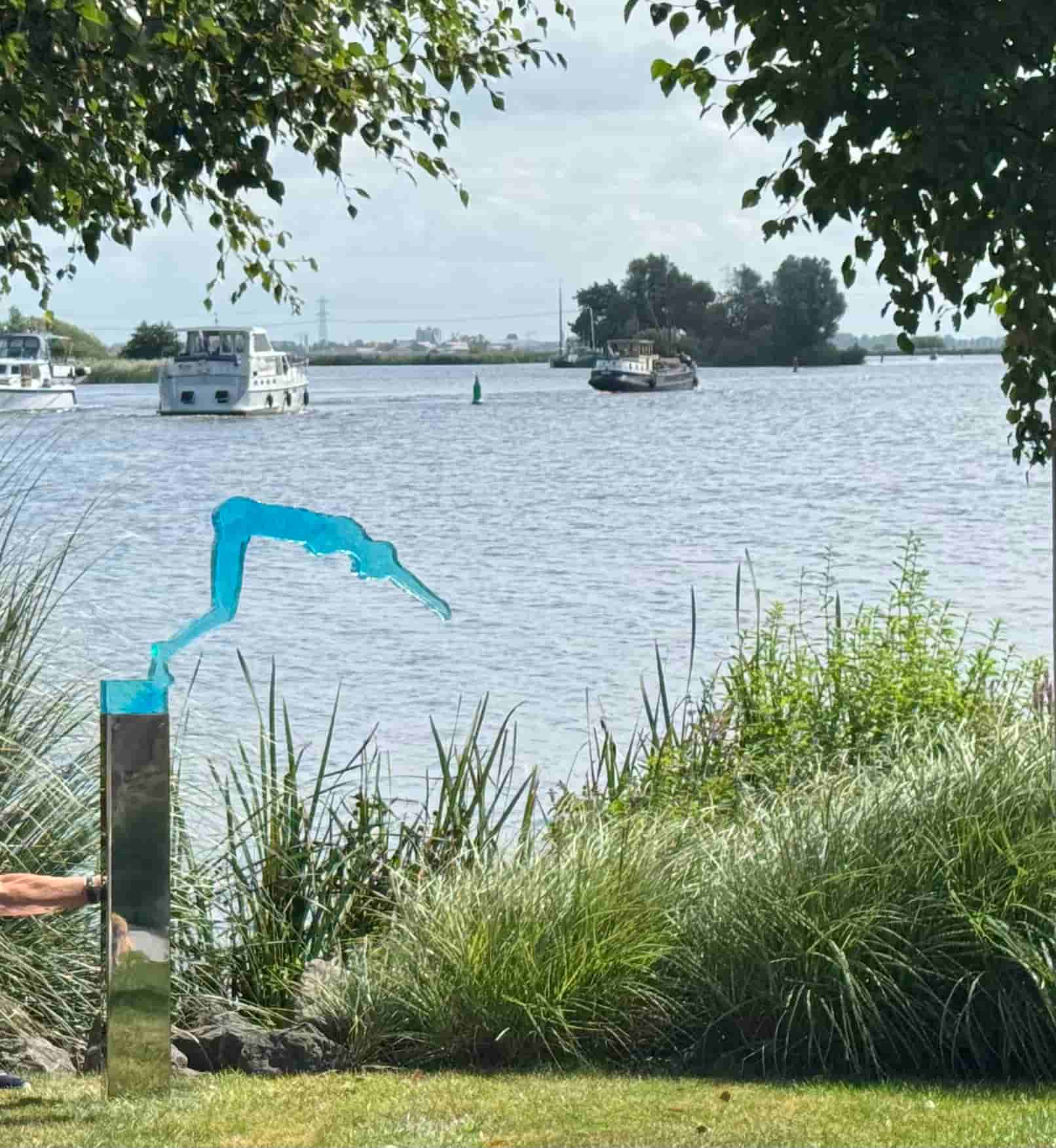 Marieke de Jong - GO, choose freedom ! (met lijst)