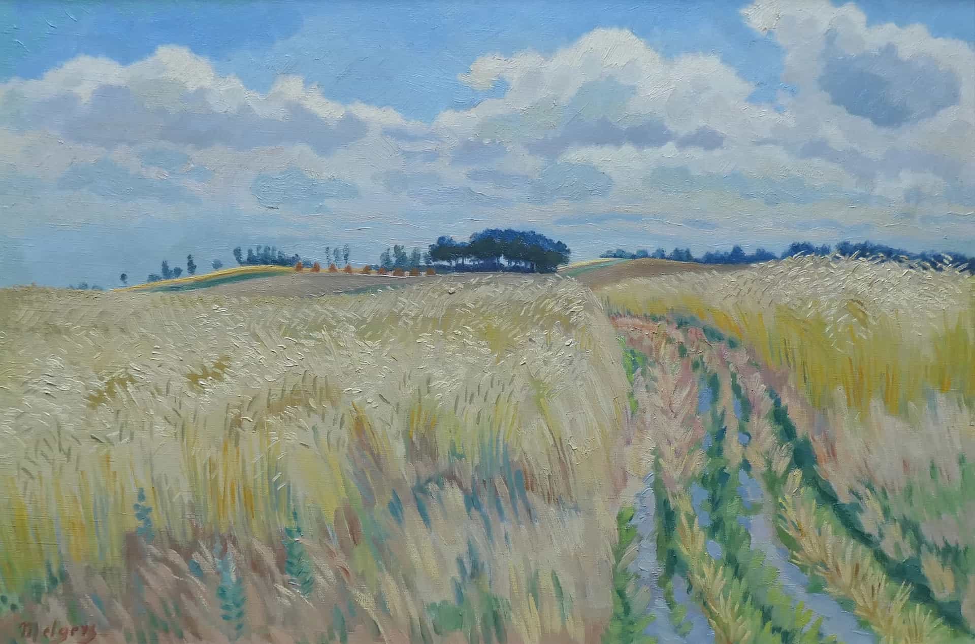Korenvelden in Drenthe