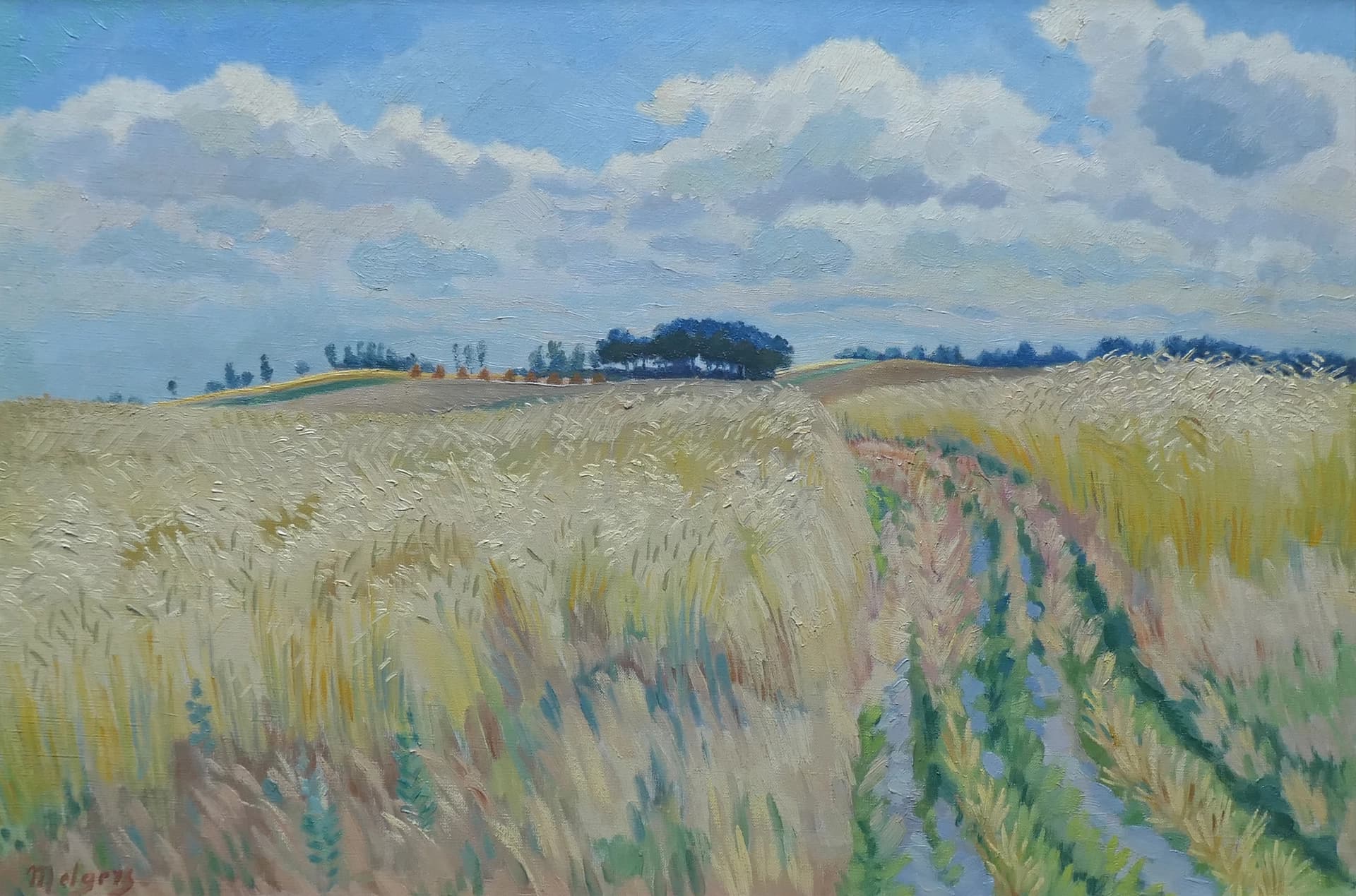 Korenvelden in Drenthe