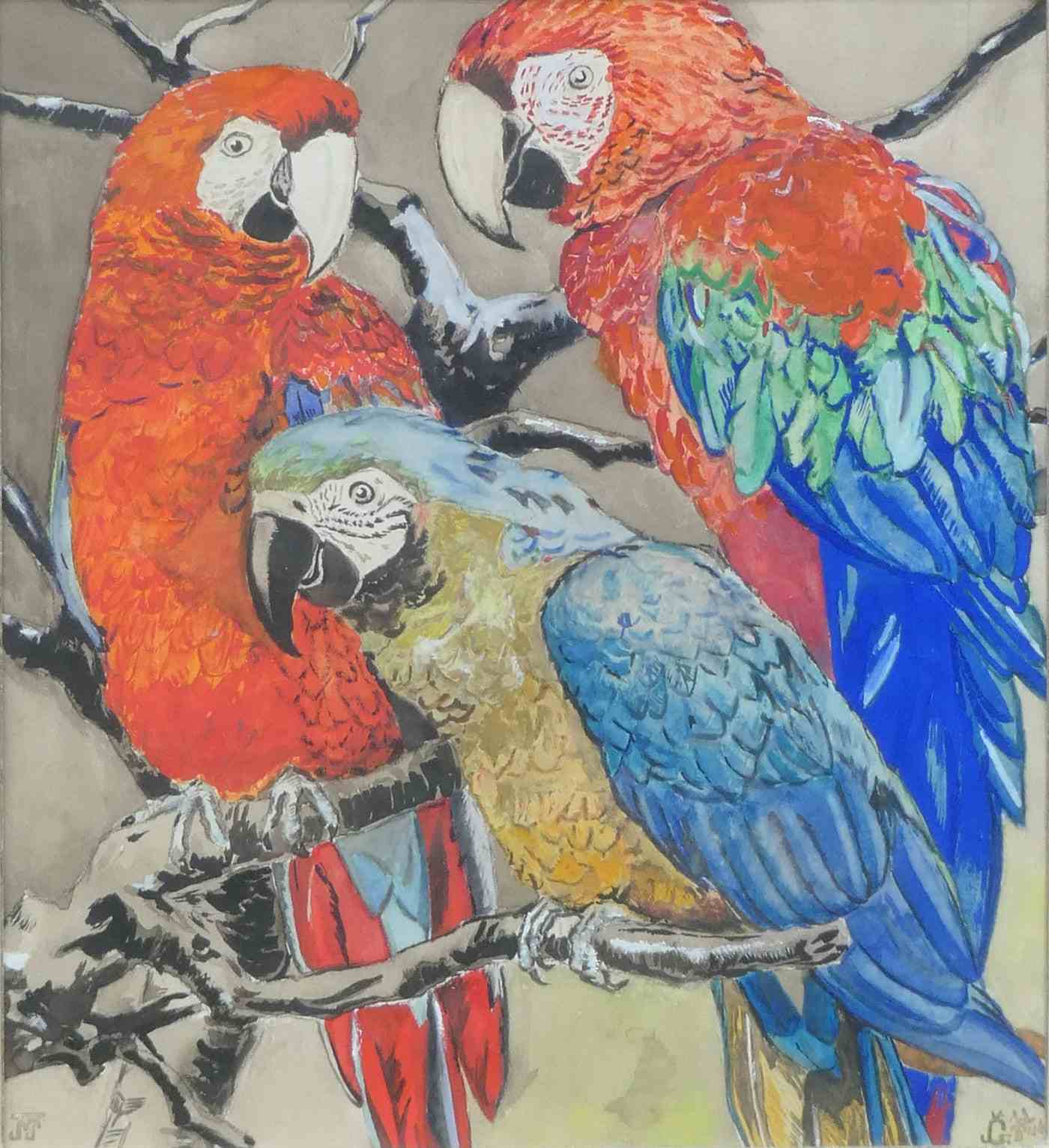 3 Papegaaien op takken