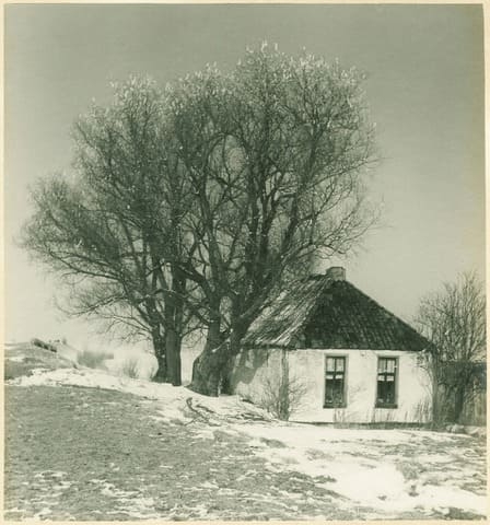 Blauwborgje in de winter van 1935 zonder lijst