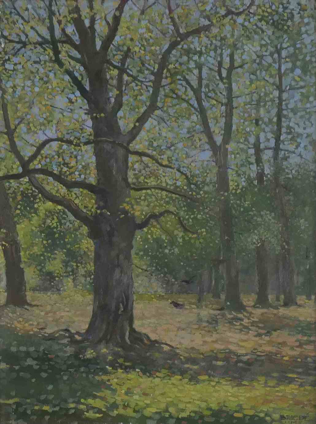 Bos bij Hilversum
