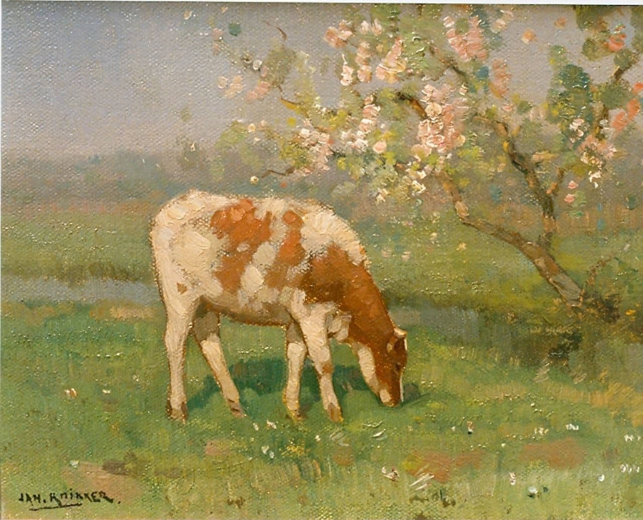 Jan Knikker junior