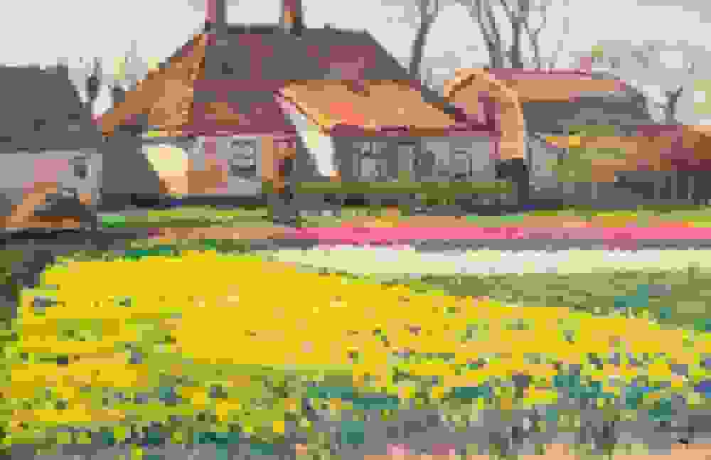 Bollenvelden en de schilderkunst