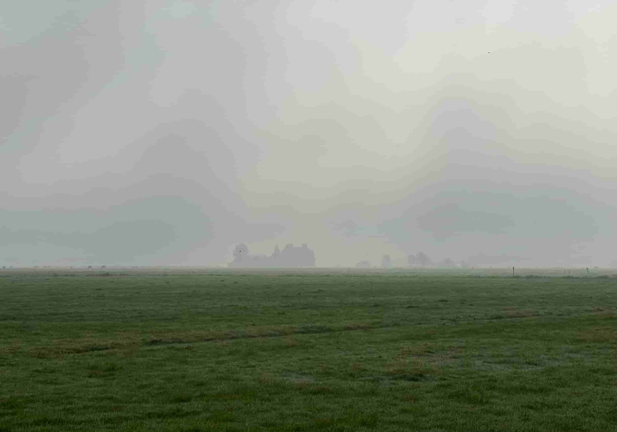 Fries landschap in de mist
