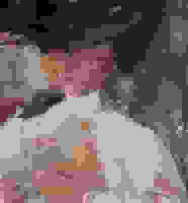 Een Ode aan Lucie van Dam van Isselt: Een Vergeten Meesteres van de Nederlandse Schilderkunst