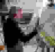 Wim van der Veer: de ziel van het Friese landschap