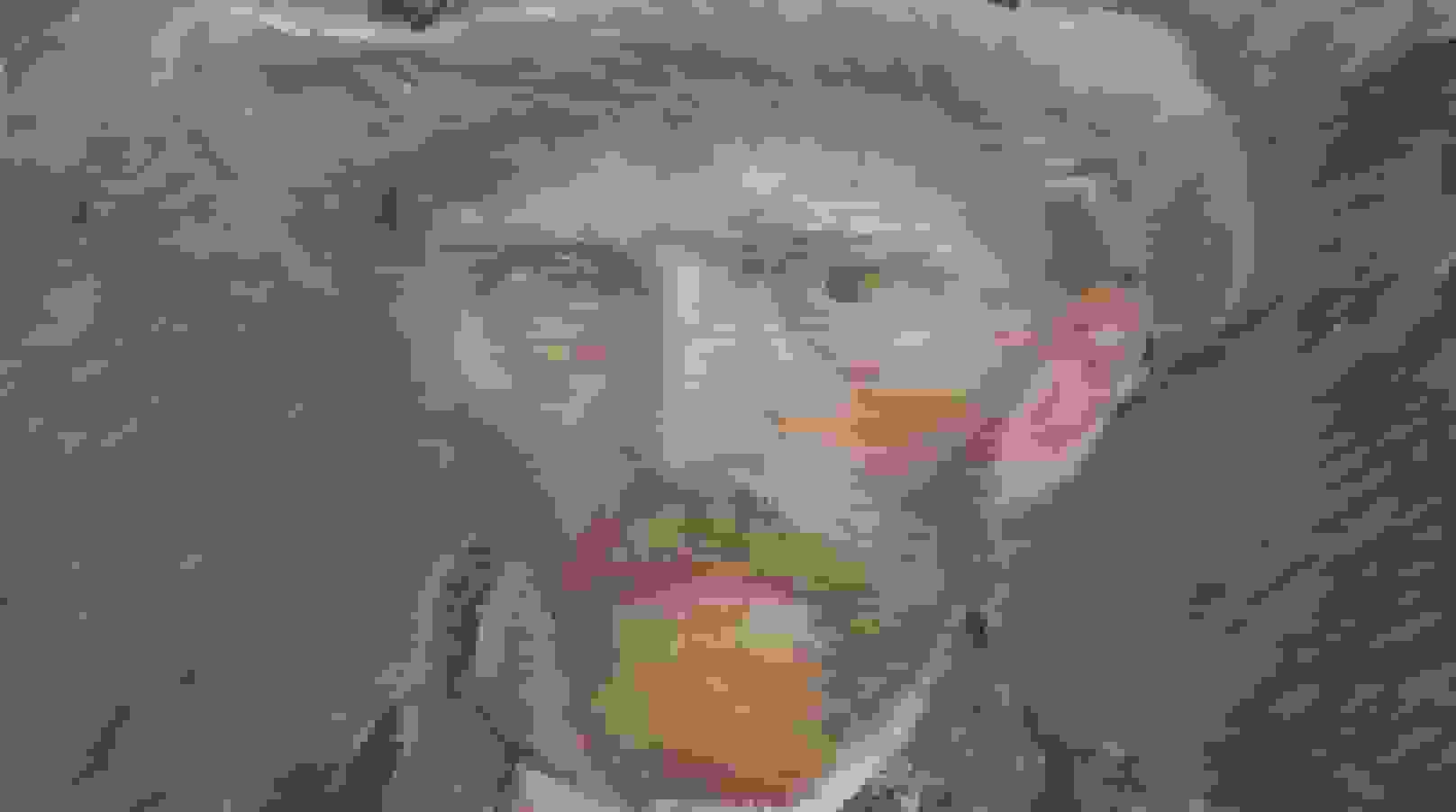 Vincent van Gogh als inspiratie voor de Groninger Ploeg