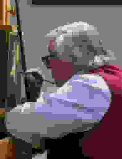 Bosgezicht - Jo Koster: een wonder