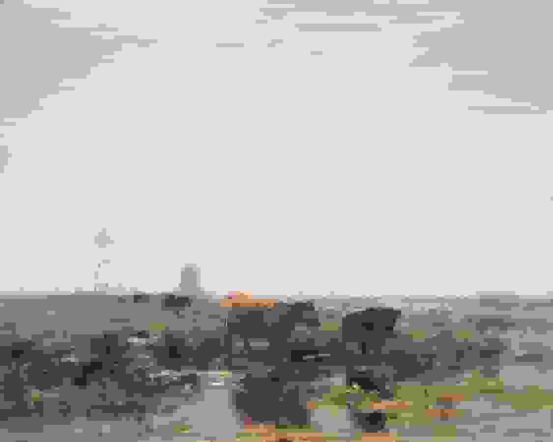 Haagse school: Willem Maris - landschap