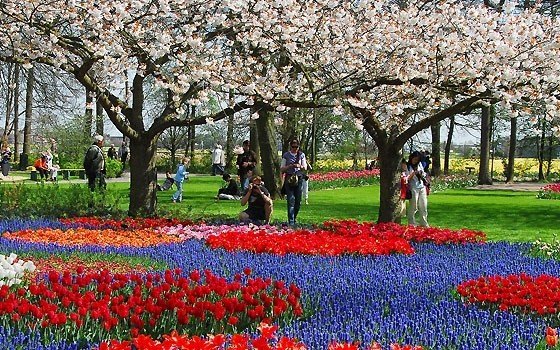 Keukenhof te Lisse zonder lijst