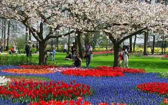 Niek van der Plas - Keukenhof te Lisse (in het echt)