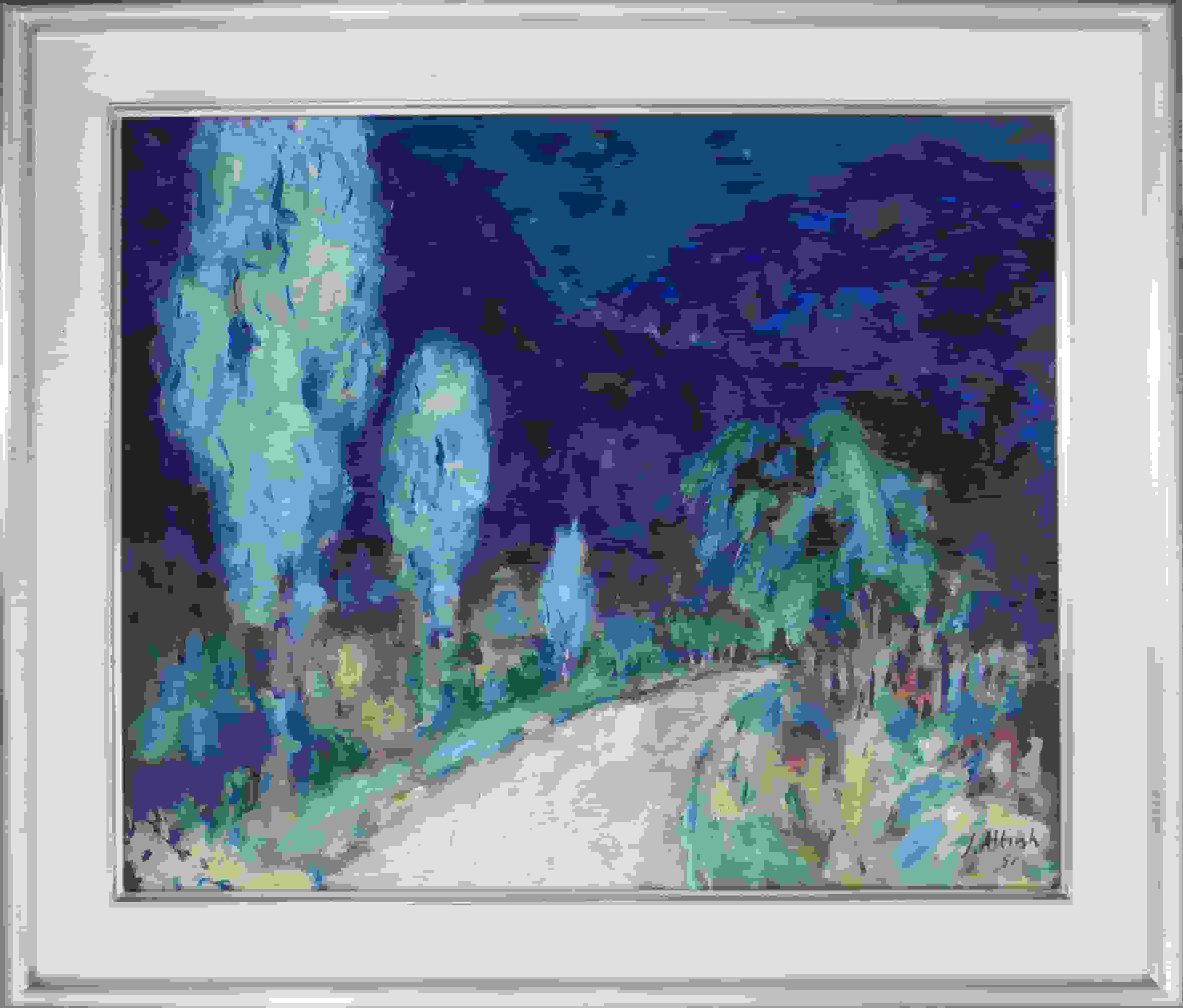 Jan Altink - Haute Savoie bij heldere sterrennacht (met lijst)