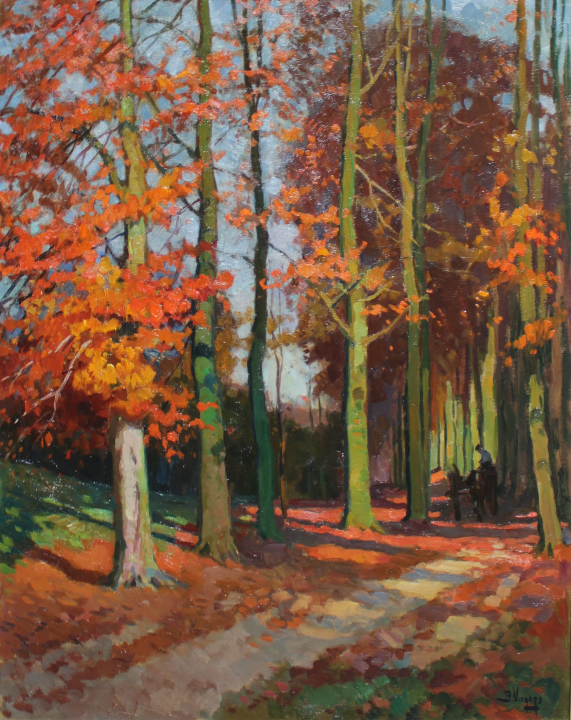 Een zonnige herfstdag in het bos zonder lijst