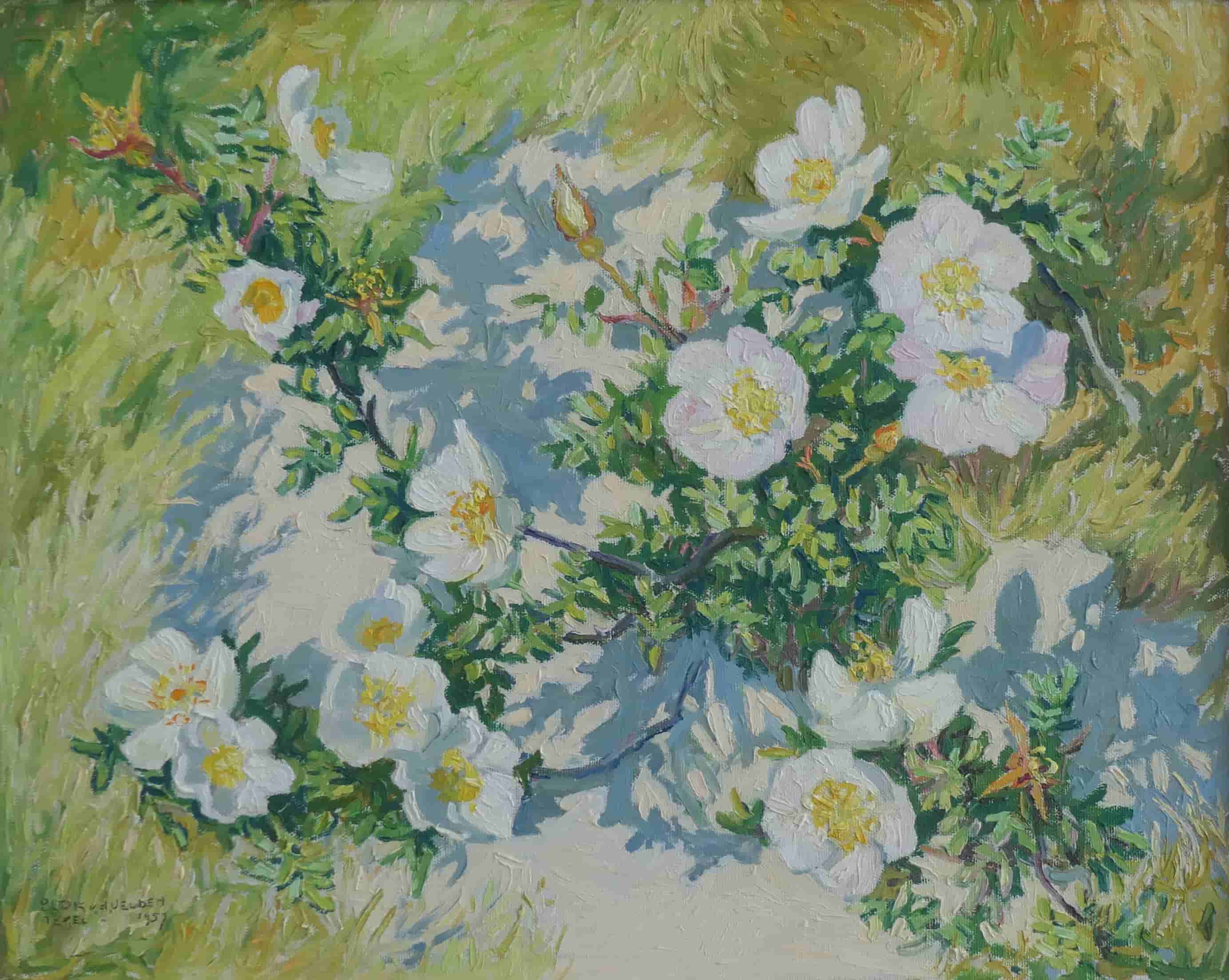 Ad Blok van der Velden - Duinroosjes (zonder lijst)