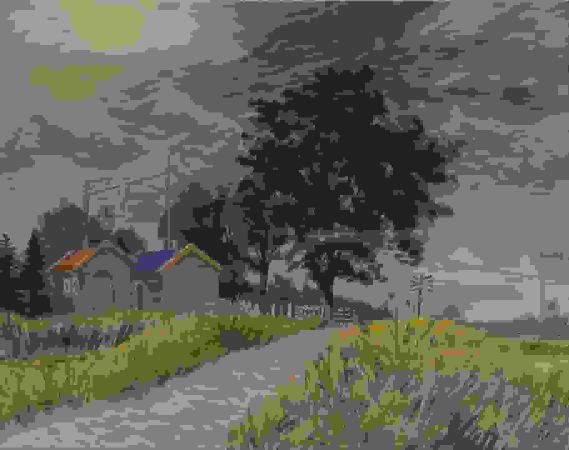 Henk Melgers - Spoorwegovergang Groningen (zonder lijst)