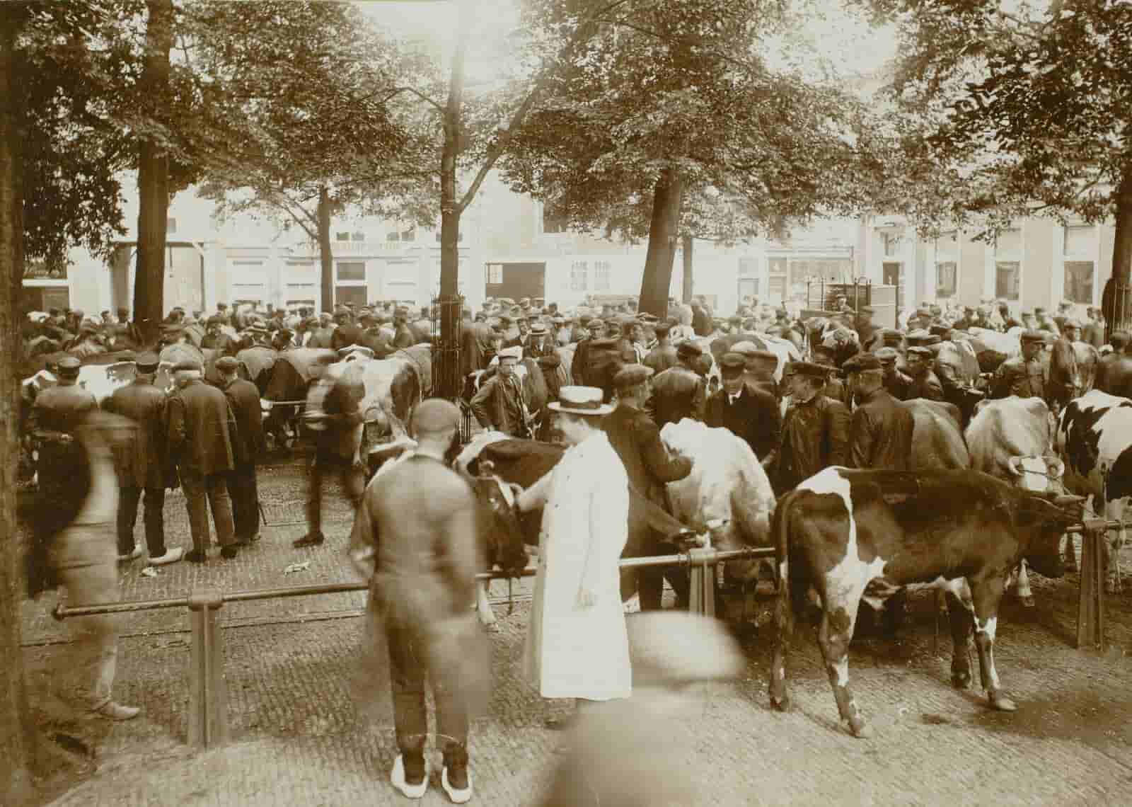 Carl Fahringer - Beestenmarkt Delft (in het echt)