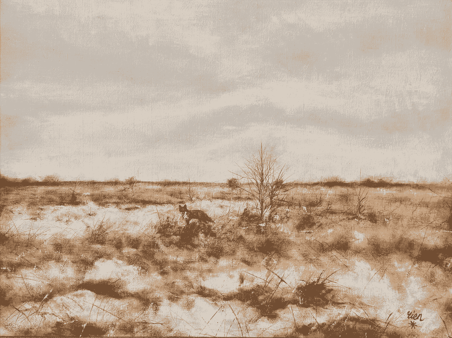 De Vos op de Winterhei