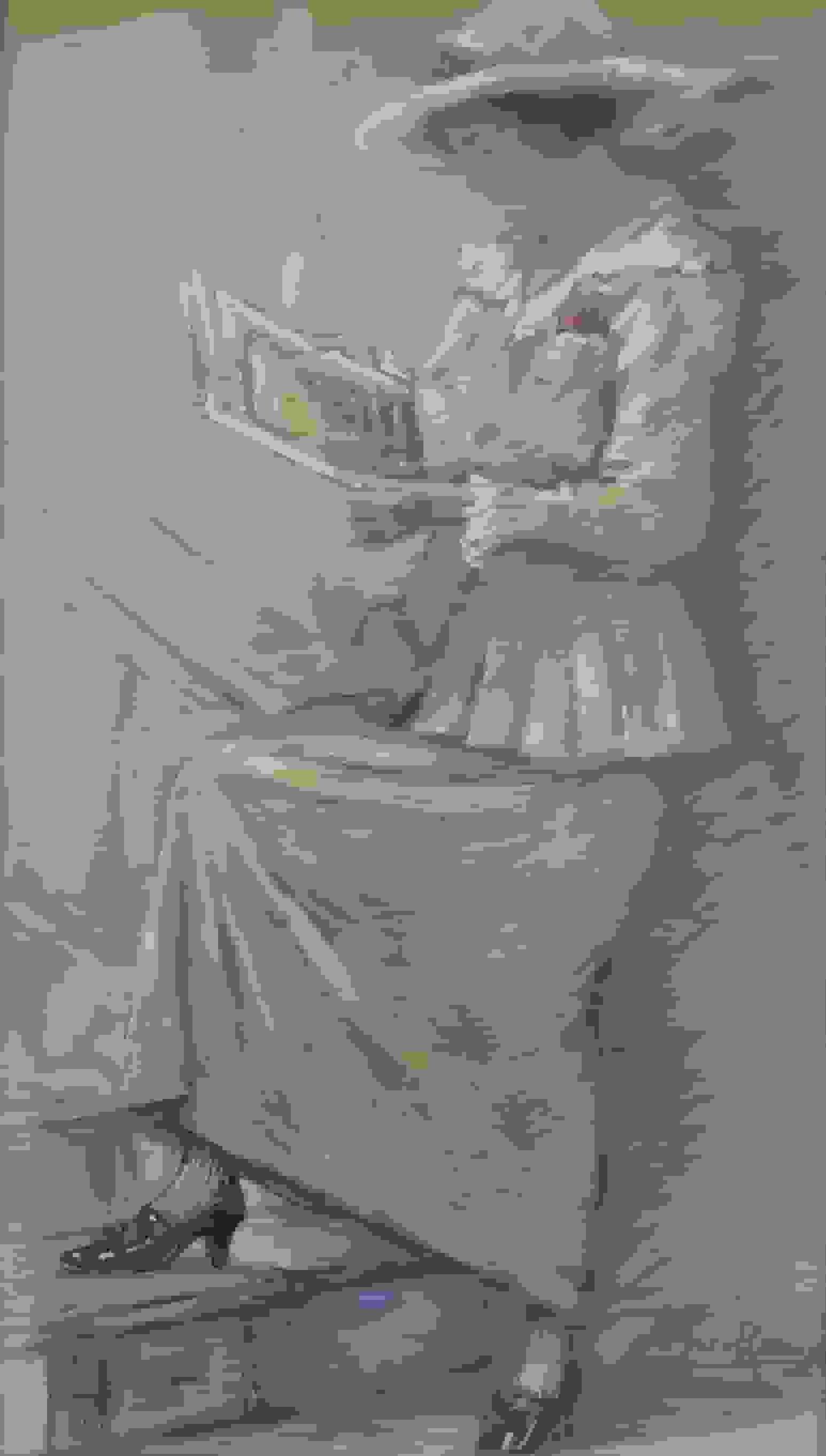 Elegante lezende dame