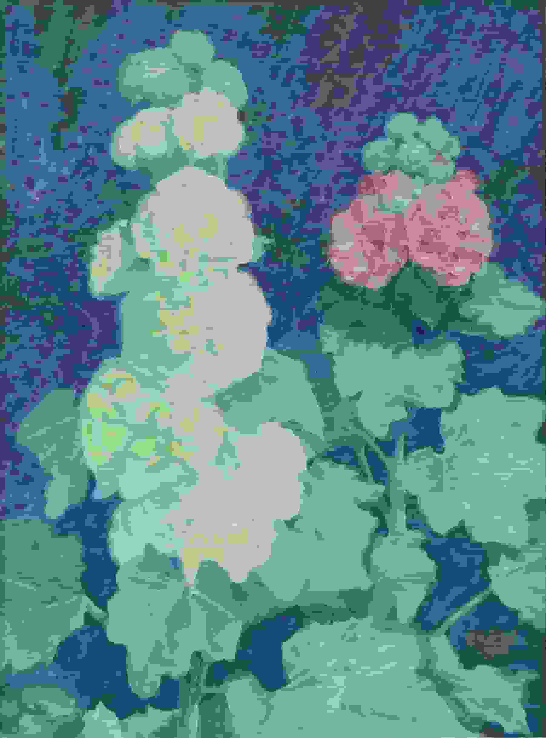 Johan Briedé - Stokrozen (zonder lijst)