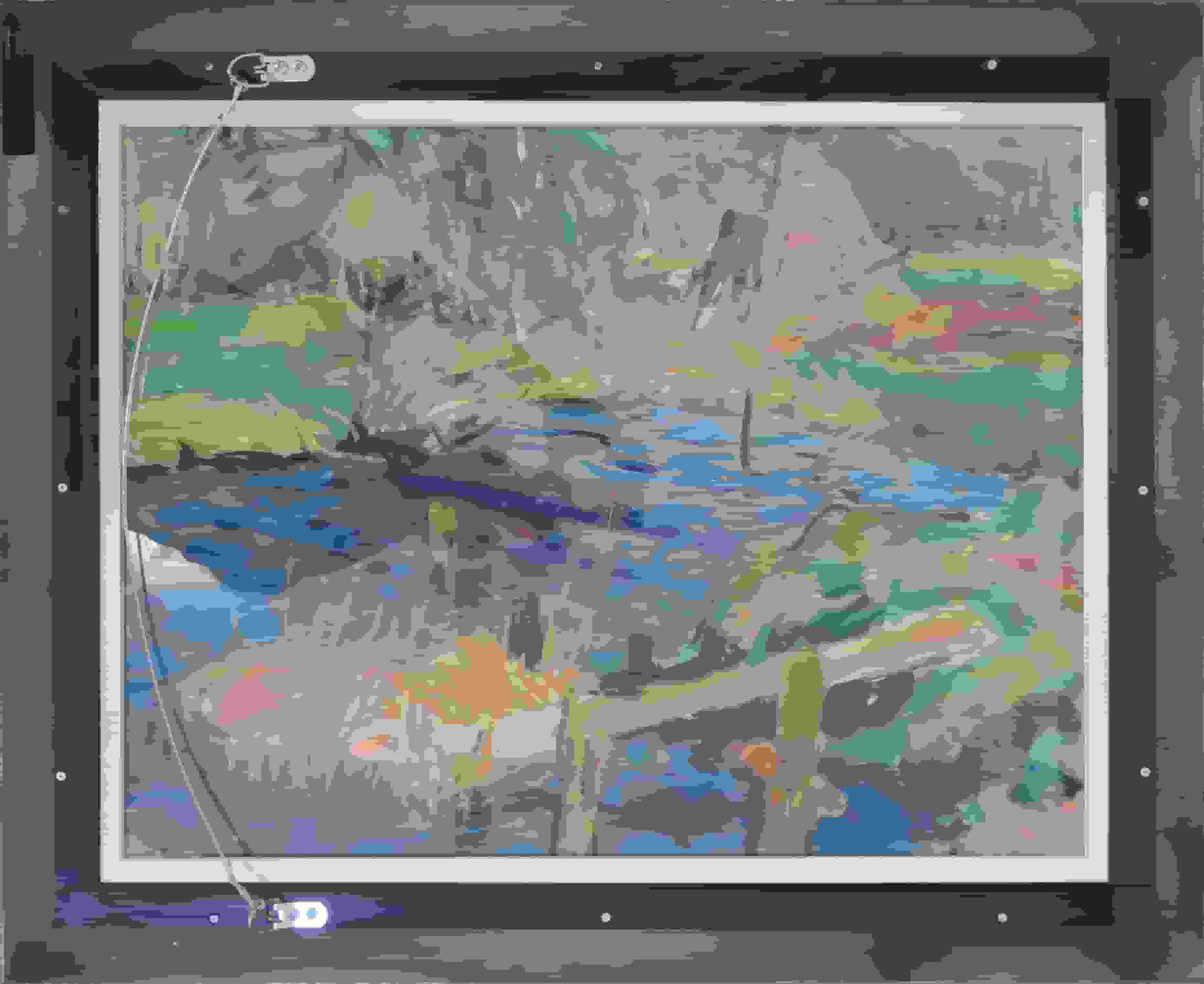 Jan Altink - Blauwborgje in de zomer (in het echt)