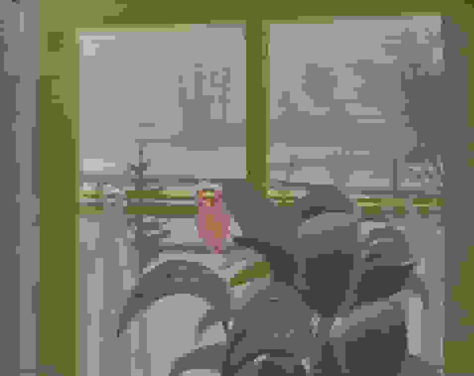 Dirk Smorenberg - Winters Loosdrecht vanuit het huis (zonder lijst)