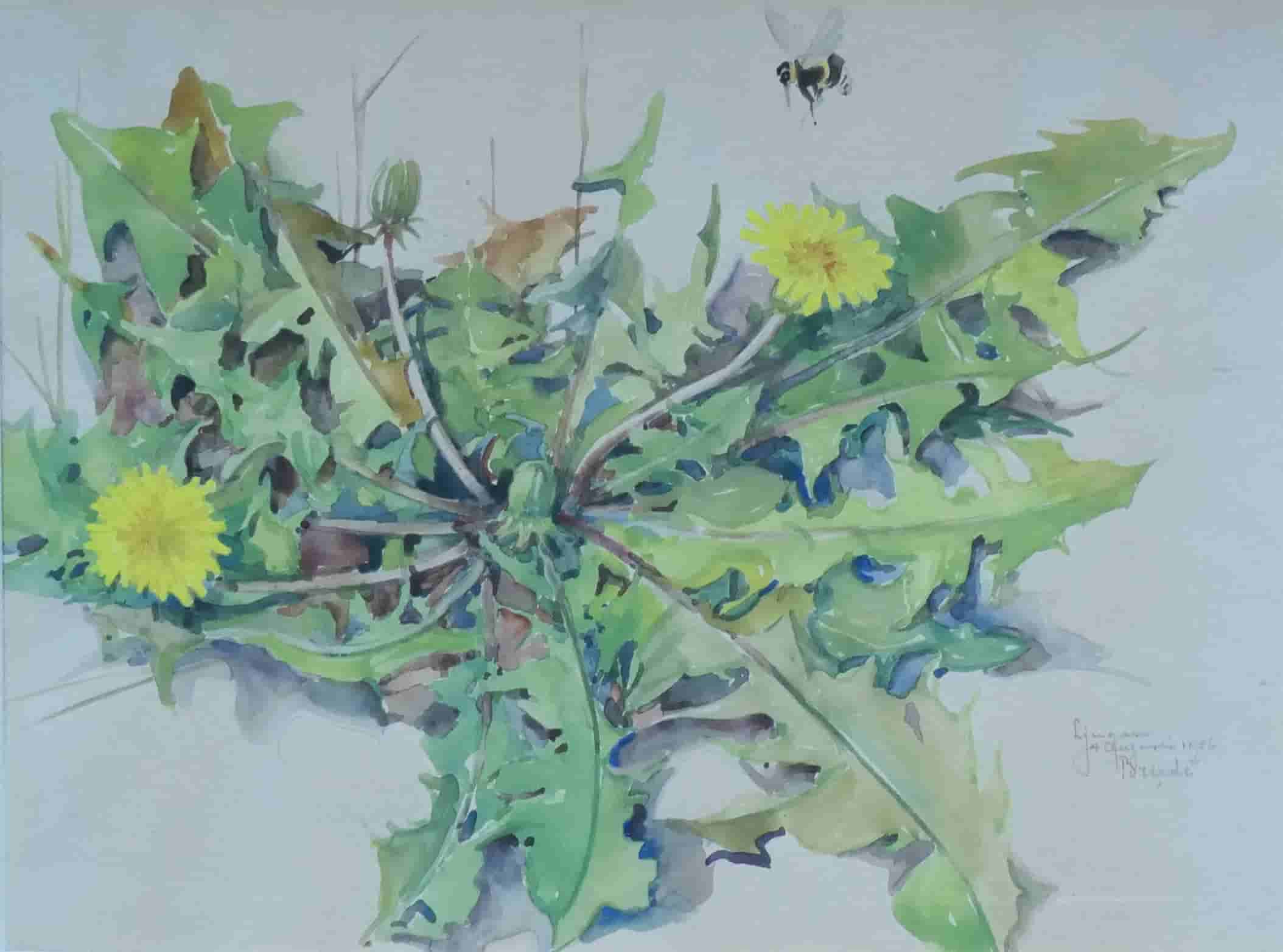 Johan Briedé - Paardenbloemen (zonder lijst)