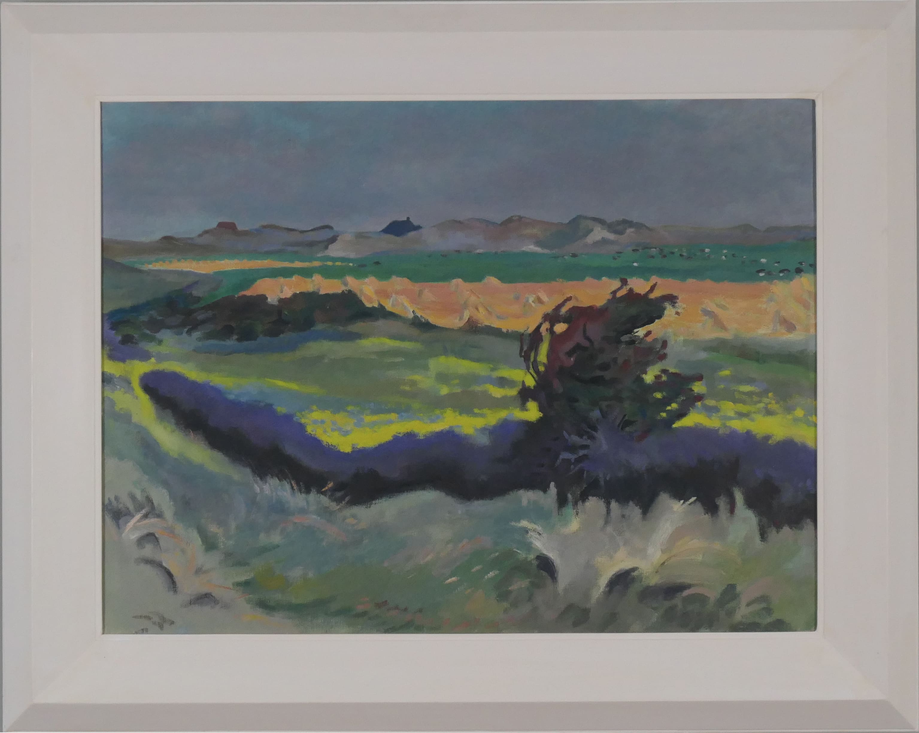 Gezicht op Texel zonder lijst