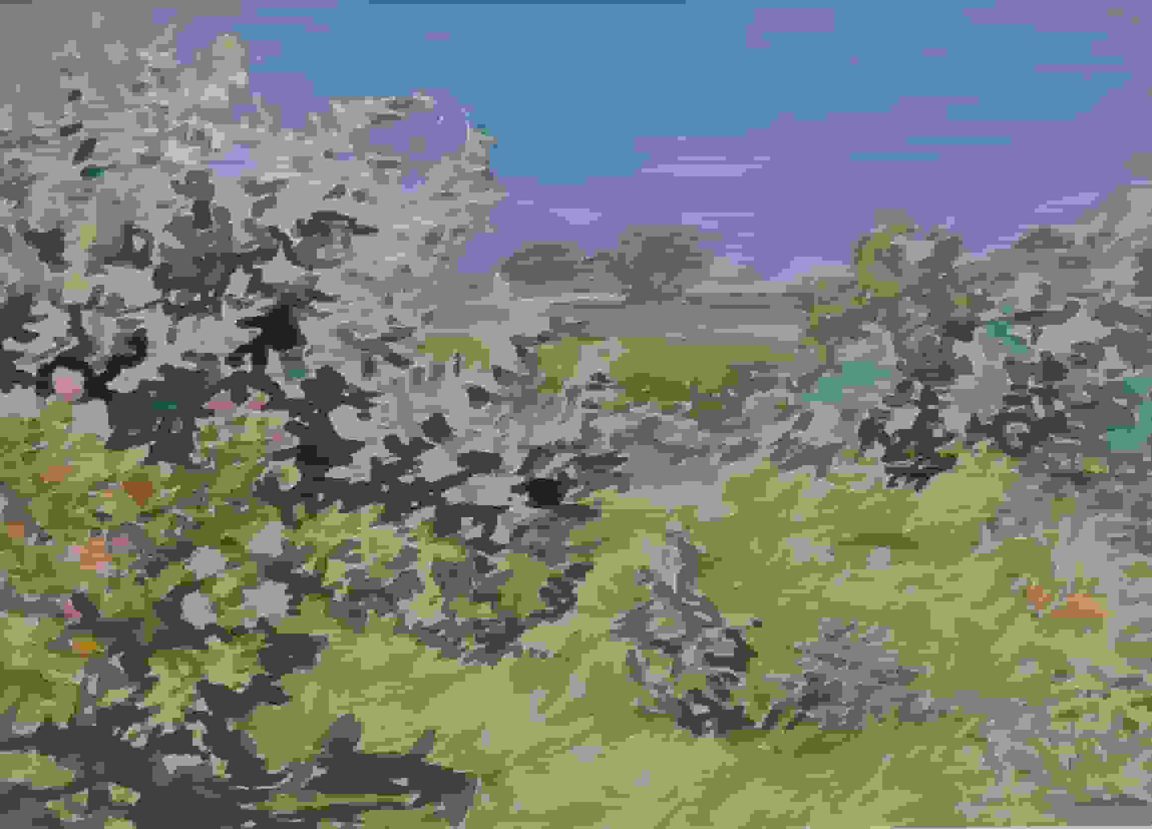 Hermanshoeve op Texel