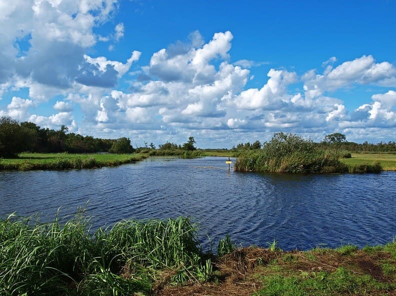 Plasgezicht zonder lijst