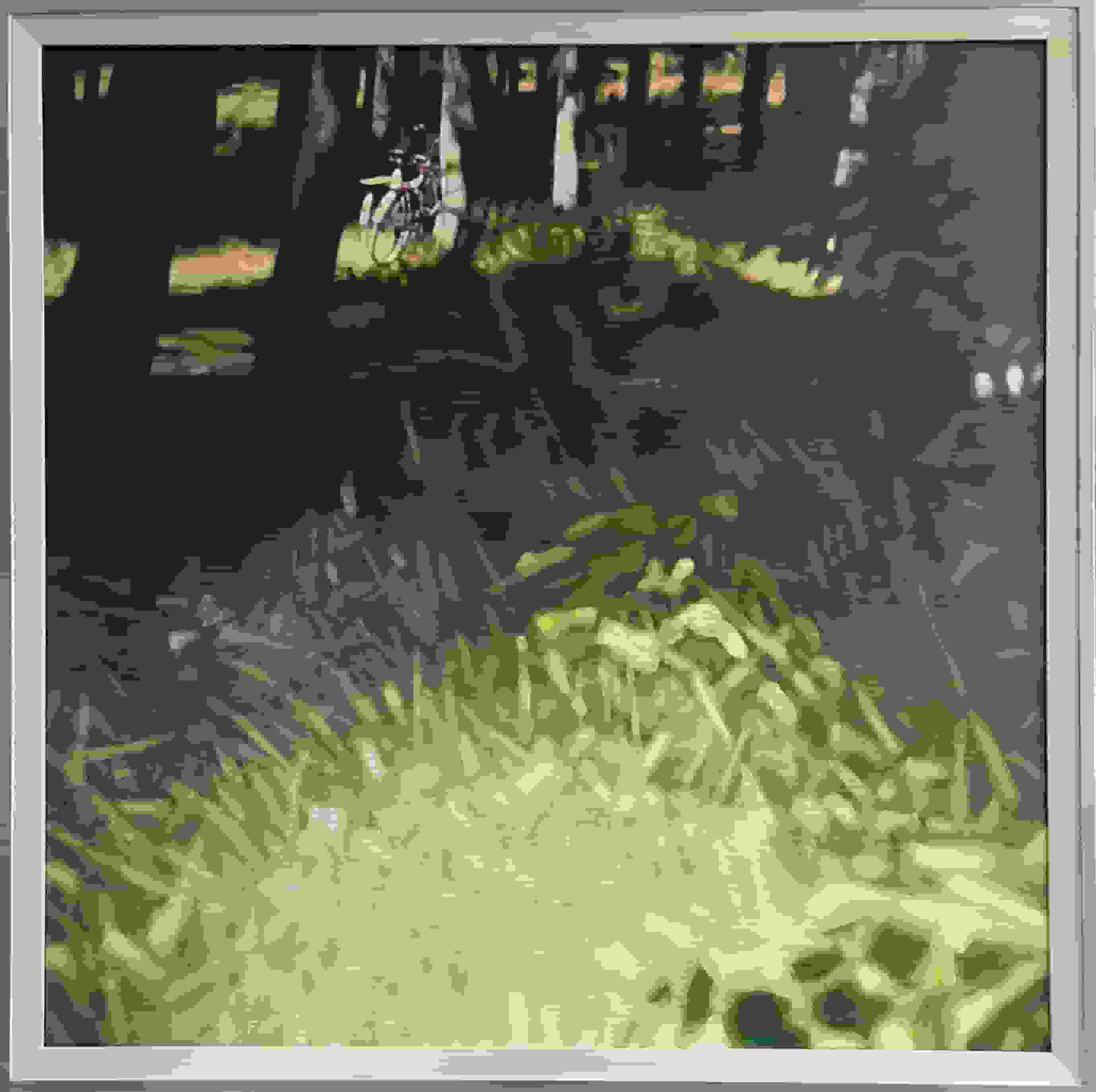 Frans Koppelaar - Fietsen in het bos (met lijst)